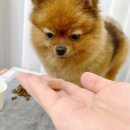 주식회사 하트세이버 이미지