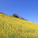 장내목장 이미지