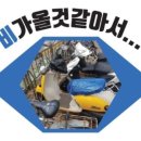 노상야채