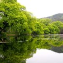 소요 1-30 경산 반곡지(磐谷池) 정격 단시조/반산 한상철 이미지