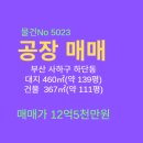 하단동139 이미지