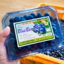 늘행복한농장 이미지