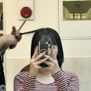 천연머리염색전문점 | [경기/안산시] 찡구네미용실&amp;붙임머리에서 천연염색한 후기