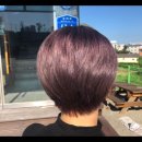 전호성헤어 이미지