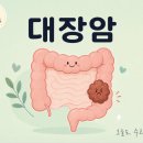 pet 14라9261 | 대장암, 두려움보다 정확한 정보로 — 약사가 풀어 쓰는 대장암 A부터 Z까지