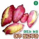 해뜨는농원 이미지