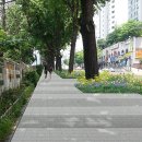 걷고싶은거리 이미지