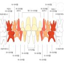 백천우리치과 이미지