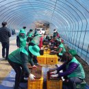 화성5리 이미지