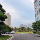 송일관 이미지