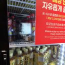 강남썬약국 | 용가훠궈 명동점 토요일 혼밥 내돈내산 후기