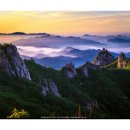 가야산칠불봉야생화마을 이미지