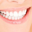 수플란트 이미지