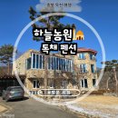 하늘농원 옆 | [ 🚙대전근교풀빌라 ] 대가족 모임, 커플여행, 단체여행 끝판왕!독채 펜션 "하늘농원"방문 후기!