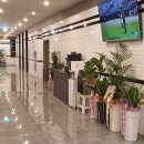 제이스크린 이미지