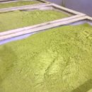 엔젤스토리 이미지