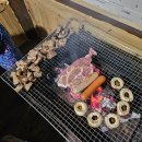 황토참좋은어린이집 | 창녕 참좋은황토펜션 후기｜복층 객실, 실내 바베큐, 조용한 황토숙소 찾는다면 여기! (내돈내산)