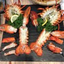 독도꽃새우 이미지