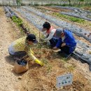 인환농장 이미지