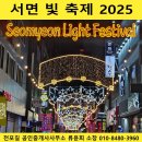 참조은공인중개사사무소 | 2025 서면 빛축제｜서면역 데이트 코스, 밤에 가면 더 예뻐요