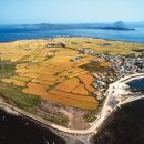 제주로와 이미지