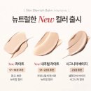 퍼스널컬러 이제는 노마스크에 대비할 때 | 에뷰페 할인템 내돈내산 추천 모음