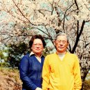 한솔종합인쇄 이미지