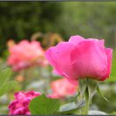 중앙구로하이츠 이미지