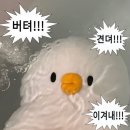 3월 half + 4월 half (왜 바쁜데..)