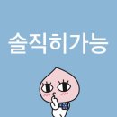 공평동 가로수길 | 250짜리 유료안구