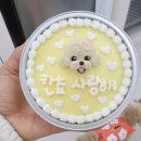 멍멍이츠 이미지