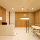 플레이멍 광주애견유치원&애견호텔 이미지