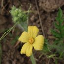 도촌 2농장 이미지