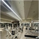 인싸짐 계산점 이미지