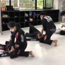 태극합기도 이미지