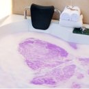 솔레펜션 이미지