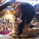 행여나목장 이미지