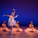 주니어 발레 이미지