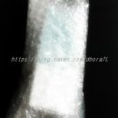 주식회사 리바이탈랩