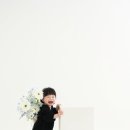 스튜디오팔레트