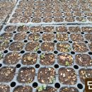 한길농장 이미지