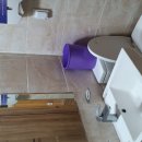 팔영산자연휴양림 이미지