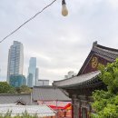 대동빌딩 건너편 아파트 입구 | 서울 강남 가볼만한곳 봉은사 주차 산책 코스 도심 속 힐링 여행