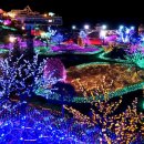 허브힐링관광펜션 | 서울 근교 포천 허브아일랜드 불빛축제, 겨울밤 핑크빛 힐링 여행