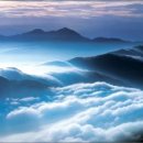 산이랑숲이랑