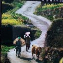 고향아줌마보리밥 이미지