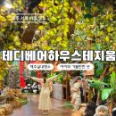 2159 | 제주 실내 관광지 테디베어하우스 테지움 입장료 할인 관람 후기