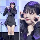 더블유게러지 이미지