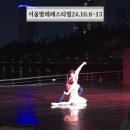 찾아가는 공연 <가까이, 더 가까이> 보통사람 위한 세레나데 | 2024서울발레페스티벌 10월11일 후기 석촌호수발레 정보