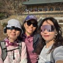 슬로우캠프 | 25년 5번째 /슬로우하이킹 관악산 연주대까지 서울대입구 등산코스후기